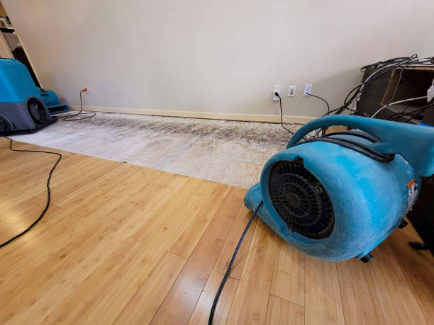 Professional Burst Pipe Water Damage technician working in Raymore, MO